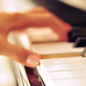 尻屄视频免费观看
