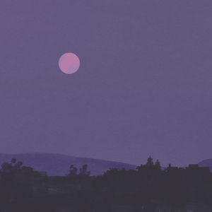 尻屄视频免费观看
